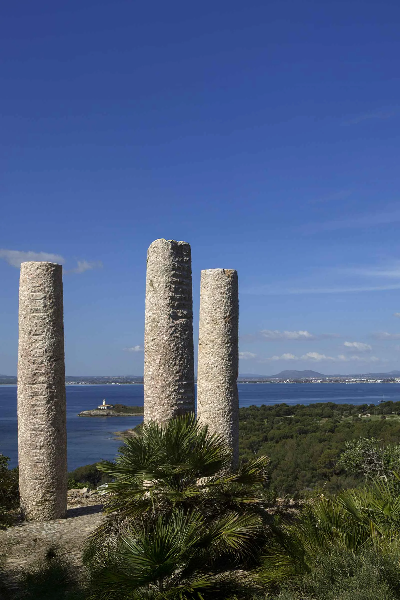 Columnas_Observatorio